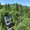 Forest Hub