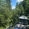 Forest Hub