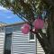 NORDSEE GLAMPING MobilheimChaletStacaravan 2329