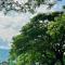 Cloud Nine Homestay