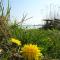 Appartement Werft & Meer