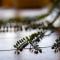 3 FRESHLY REDONE NEWLY FURNISHED A MUST SEE - 普莱恩维尔