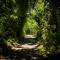 No Road Inn in Endeavour Inlet, Marlborough Sounds - 皮克顿