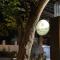 Collection O The Spades Hostel