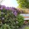 Callander Woods Holiday Park