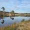 Mike's 3-bedroom Countryside Cottage - Alness