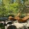 Camping 3 étoiles - Piscine - ccbaeei - 格兰德拉维尔斯