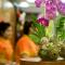 FARS Hotel & Resorts - BAR-Buffet-Pool-SPA
