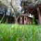 Luxury Villa Experience in Center of Zadar with heated pool and Jacuzzi - Zadar