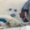 Grand Solmar Lands End - Cabo San Lucas