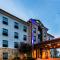 Holiday Inn Express & Suites Del Rio by IHG