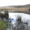 Field and Stream - Dullstroom