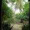 Jungle House