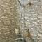 Stone Paradise Homestay