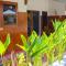 Trytan Gerupuk Homestay