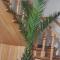 Guest House Metreveli