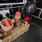 Ranger - Snowdon Cabins holiday let Caernarfon