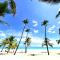 Disfruta momentos inolvidables - 圣多明各 Disfruta momentos inolvidables - 圣多明各