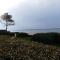Arcachon Pereire bord de plage - 阿卡雄