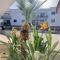 Beautiful 2 Bed Ground Floor Apartment With Pool