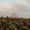 Mount Gnomon Farm