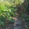 Buchan Estate and Self Catering