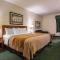 Comfort Inn Alton near I-255