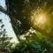 Dunitha Villa - Surrounded by Greenery - 迪克韦勒
