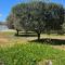 Villa Villino Blu by the sea