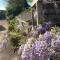Lavender cottage