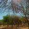 La Tranquilidad
