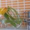 I Colori del Vento B&B Foto: I Colori del Vento B&B