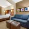 Comfort Suites Regency Park - Cary
