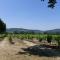 Le Leyrac photo 20