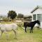 FarmStay - Elands Bay FarmStay - Elands Bay