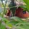 Casa Pitufo - Cahuita