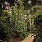 282 David Low Way Peregian Beach - 佩里吉安比奇