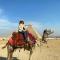 PYramidS SuN TemPLE VieW HoTeL - 开罗