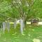 ThangoRes Escape to Tranquility - Midrand