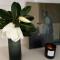Kelpie Cottage! 1930s Beauty, Central Luxury