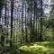 Domaine privé dans les bois - Salettes