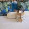 MaeStorm Gardens Relax:Reload:Refresh Private room in nature lodge - East London