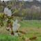 Weingut Pugl