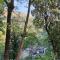 4 Rooms Individual Cottage near attukad waterfalls - Hall, 4bed room delux, falls view, located at tea etstae - Devikolam