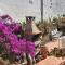 Charming house with shared pool in San Cristóbal de La Laguna - La Laguna