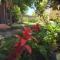 Charming house with shared pool in San Cristóbal de La Laguna - La Laguna