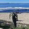 Surf Point Ride - Jeffreys Bay