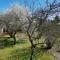 Logis Hotel Le Cerf