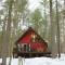 Cozy Cabin near Lake Placid, Whiteface-King, Ice Barrel, Hot Tub - Jay