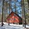 Cozy Cabin near Lake Placid, Whiteface-King, Ice Barrel, Hot Tub - Jay
